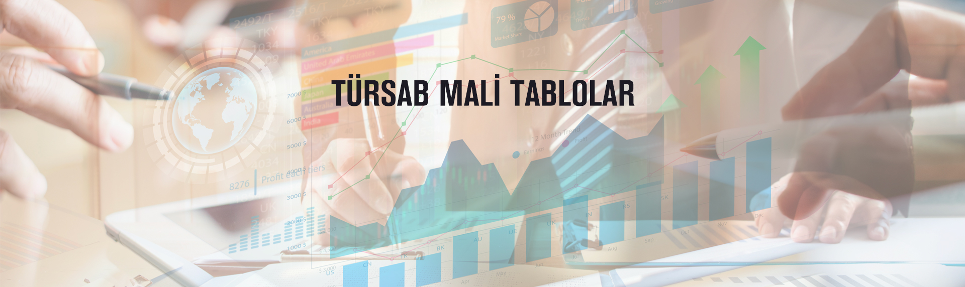 https://www.tursab.org.tr/mali-tablolar